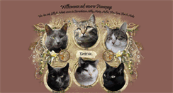 Desktop Screenshot of cats-paradise.aqua-logisch.de